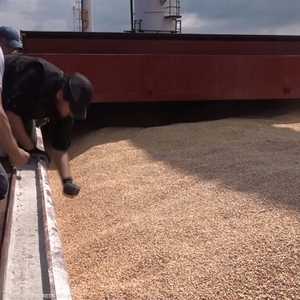 تصدير الحبوب من أوكرانيا