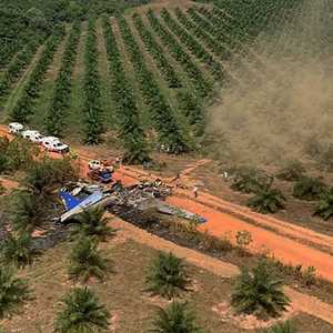 تحطّمت الطائرة في أدغال الأمازون