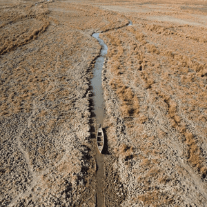 الجفاف في أهوار الجبايش في العراق