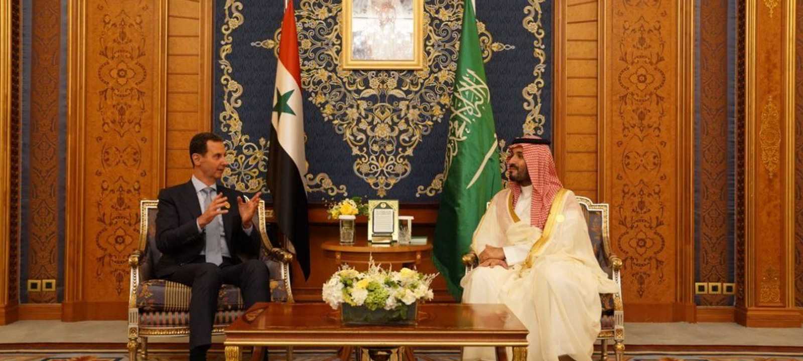 محمد بن سلمان مستقبلا الأسد.