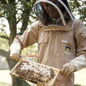 أميرة ويلز في زي النحالين