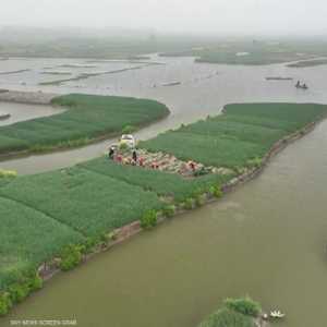 التمويل أبرز عقبات تحقيق أهداف التغير المناخي