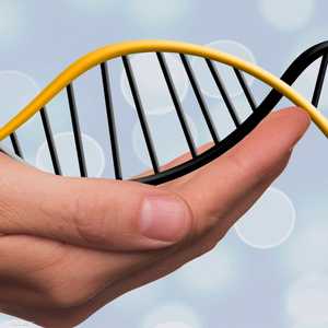 السيدة تتمتع بجين نادر فريد.. أرشيفية