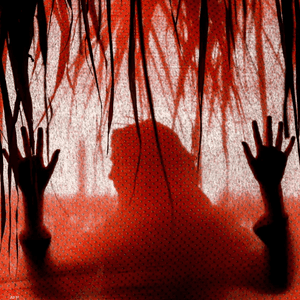 العنف الرقمي ضد النساء يثير قلقا متزايدا