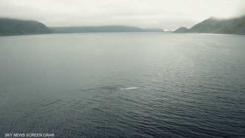 "الحوت الجاسوس" يظهر مجددا في السويد