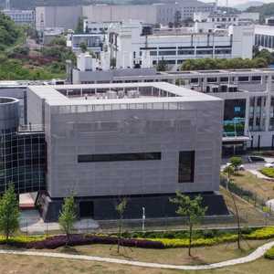 معهد ووهان لعلم الفيروسات