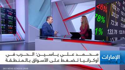 الخبير الاقتصادي محمد علي ياسين