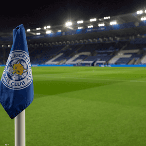 هبط ليستر بعد أن احتل المركز 18