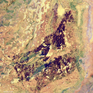 الرسوم اكتشفت في كهف إسباني