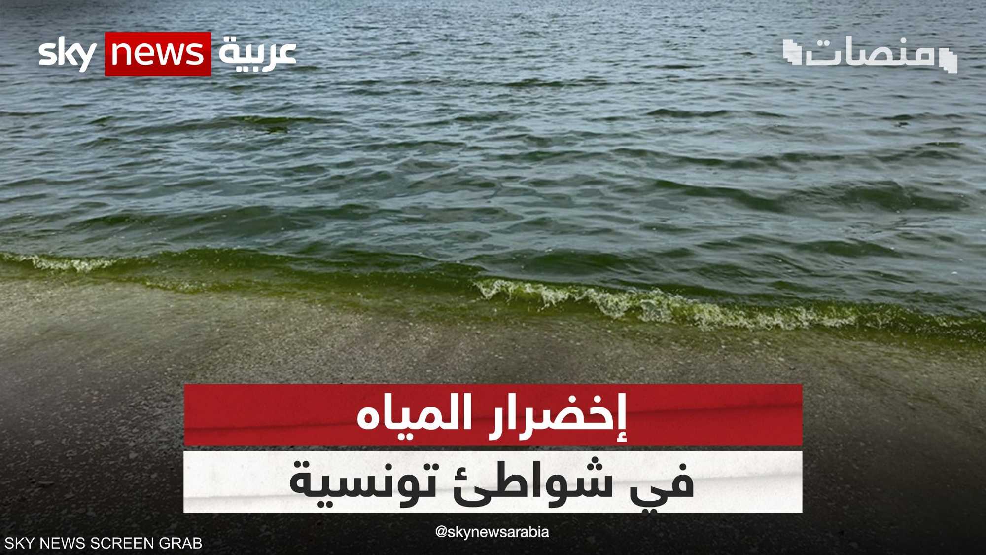 إخضرار المياه في بعض شواطئ تونس يقلق السكان