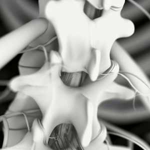 إعادة تأهيل المصابين بعد الحوادث.. خطة علاجية شاملة