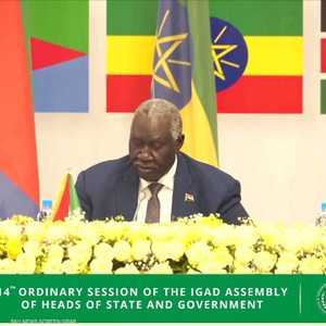 مالك عقار: يجب تركيز الجهود الإفريقية من أجل حل أزمة السودان