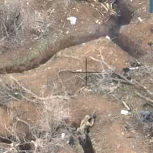 جنود روس يفاجئون المقاتلين الأوكرانيين في خنادقهم