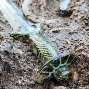 السيف لايزال لامعا وفق مكتشفيه