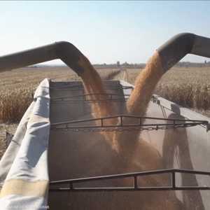 الأمم المتحدة تدعو إلى تسريع صادرات الحبوب في البحر الأسود
