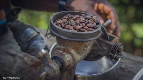 حبوب القهوة - أرشيفية