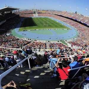 "استاد مونتجويك"