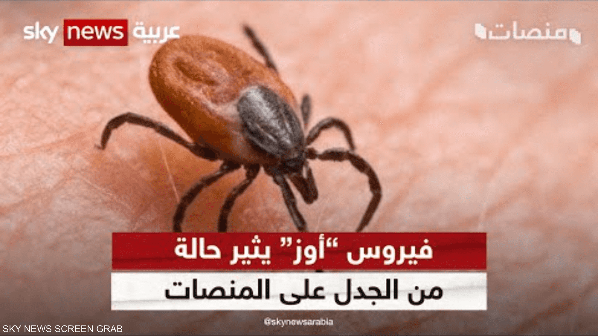 فيروس "أوز" يثير حالة من الجدل على وسائل التواصل الاجتماعي