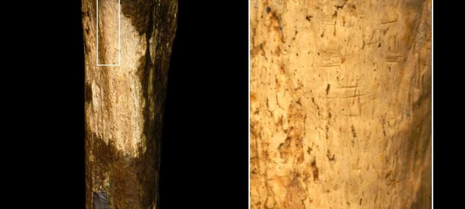 العظمة حملت علامات "تقطيع"