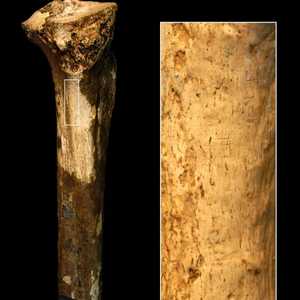 العظمة حملت علامات "تقطيع"