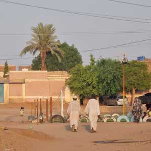 الدعم السريع أعلنت هدنة بمناسبة حلول عيد الأضحى