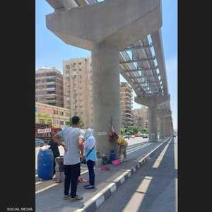 الصورة أثارت جدلا على منصات التواصل الاجتماعي في مصر