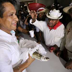 ترتدي أنثى التمساح ثوب زفاف أبيض