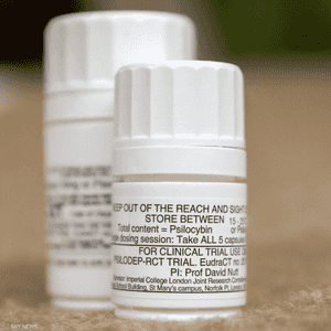 حبوب الهلوسة