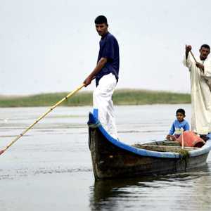 أرشيفية لأهوار العراق