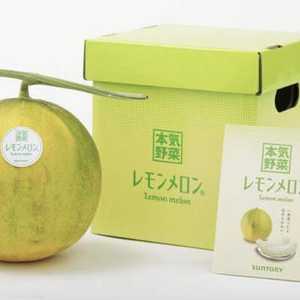 الشكل الخارجي لثمرة "بطيخ الليمون"