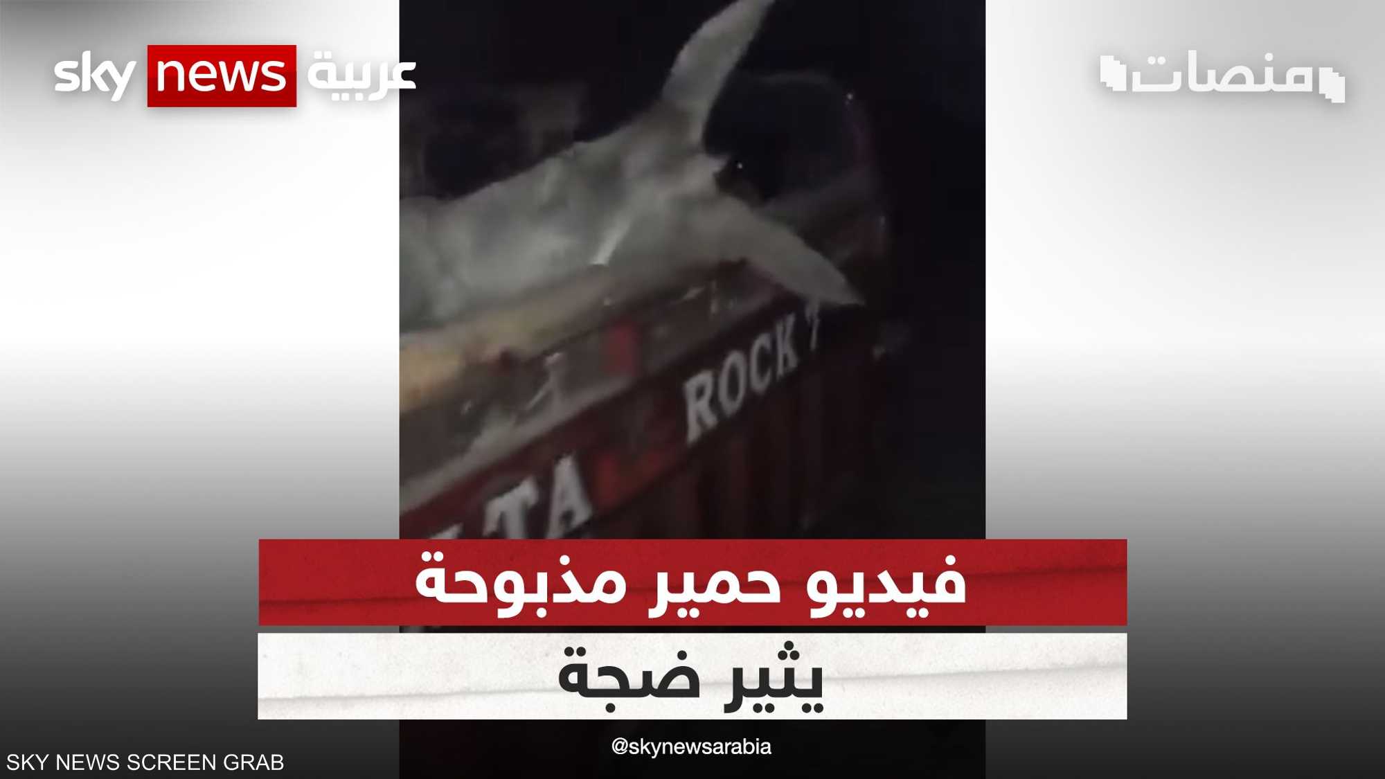 القبض على صاحب مزرعة لذبح الحمير في مصر