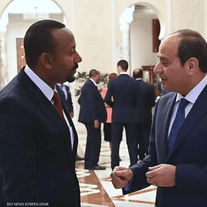 السيسي خلال لقائه بآبي أحمد في قصر الاتحادية