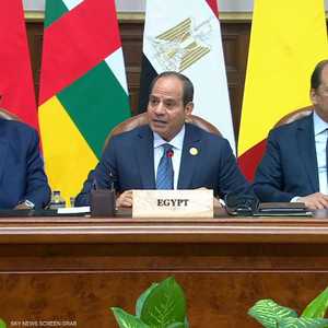 السيسي يدعو لتوحيد رؤى دول جوار السودان بشأن حل أزمة البلاد