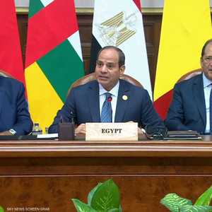 السيسي يدعو لتوحيد رؤى دول جوار السودان بشأن حل أزمة البلاد