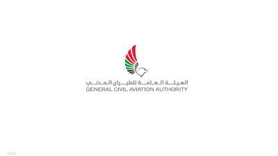 الإمارات تعلن اكتمال نقل 7479 مسافرا إلى تل أبيب