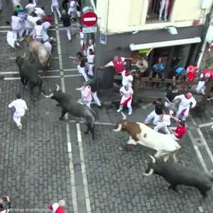 إسبانيا.. عشرات الجرحى خلال الركض مع الثيران