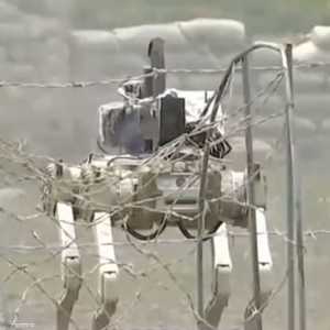 الكلاب الروبوتية