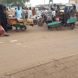 "سوق النازحين" في مدينة سنار السودانية