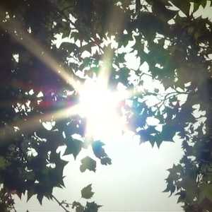 ارتفاع قياسي في درجات الحرارة بعدد من مناطق العالم