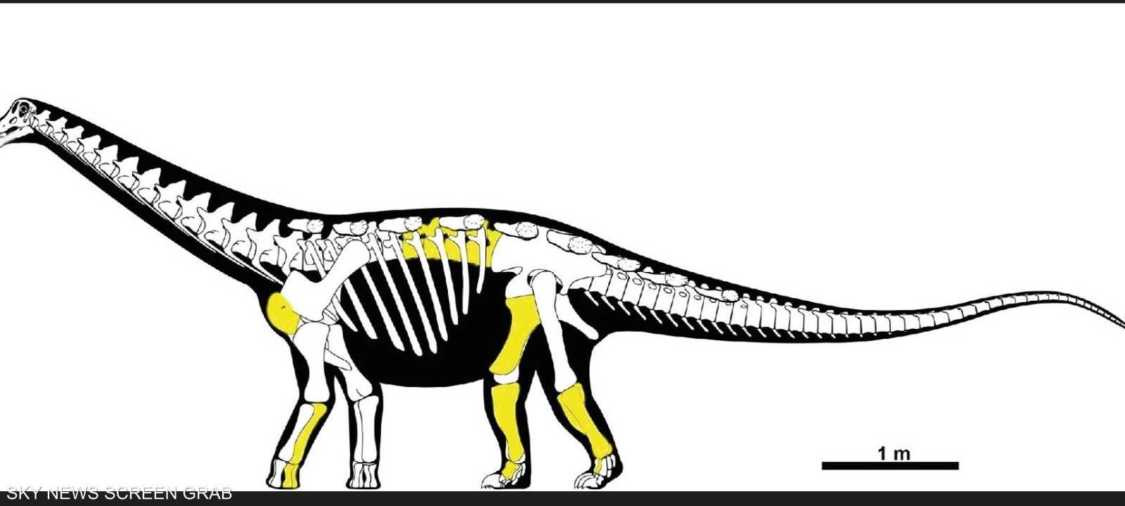 رسم لـ"سيد الواحة المنسي" وفق ما رصده العلماء
