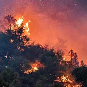 حرائق واسعة في عدد من بلدان حوض المتوسط