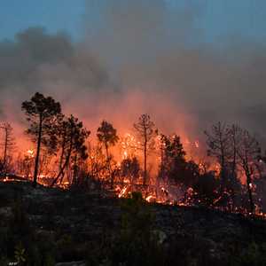 حرائق واسعة في عدد من بلدان حوض المتوسط