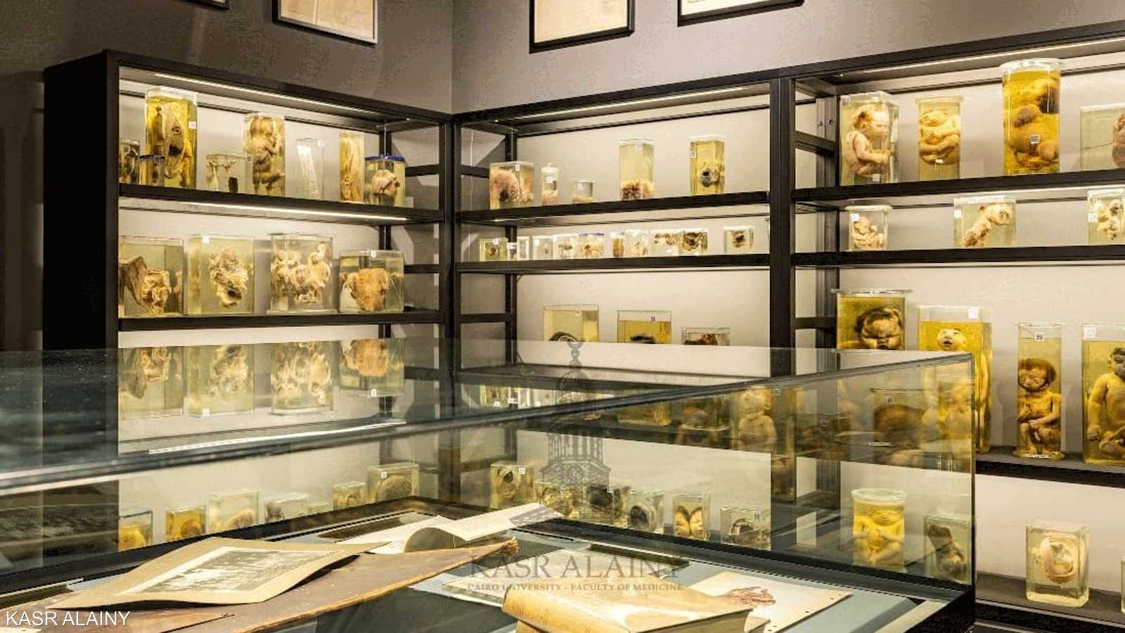 تم تجديد المتحف قبل سنوات