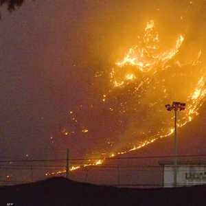 حرائق غابات في صقلية بسبب الحر