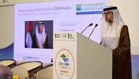 وزير الطاقة والبنية التحتية الإماراتي، سهيل المزروعي