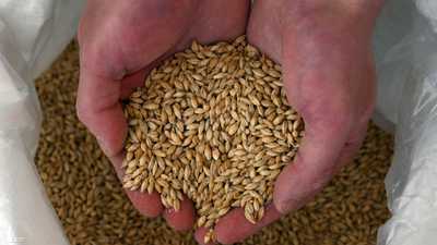 إنتاج الحبوب عالميا