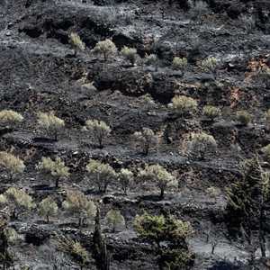 المناخ "يخرج عن السيطرة"