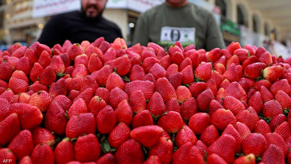 لتناول الفراولة فوائد عديدة على الصحة.. أرشيفية