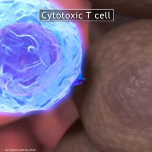 باحثون يطورون حبة قاتلة للخلايا السرطانية
