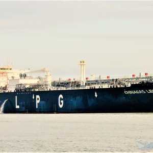 اصطدمت الناقة بالقاطرة فهد